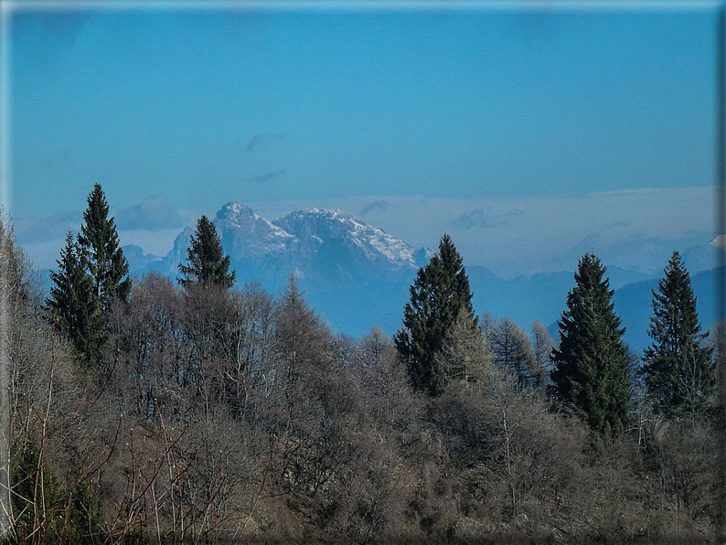 foto Salita dal Monte Tomba a Cima Grappa